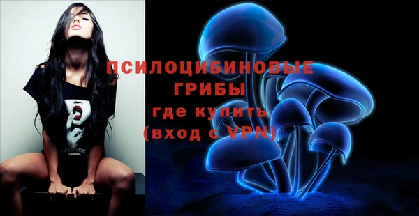тгк Фурманов