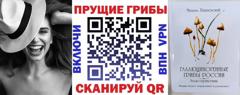 Псилоцибиновые грибы Cubensis купить сайты блэк спрут tor Бородино